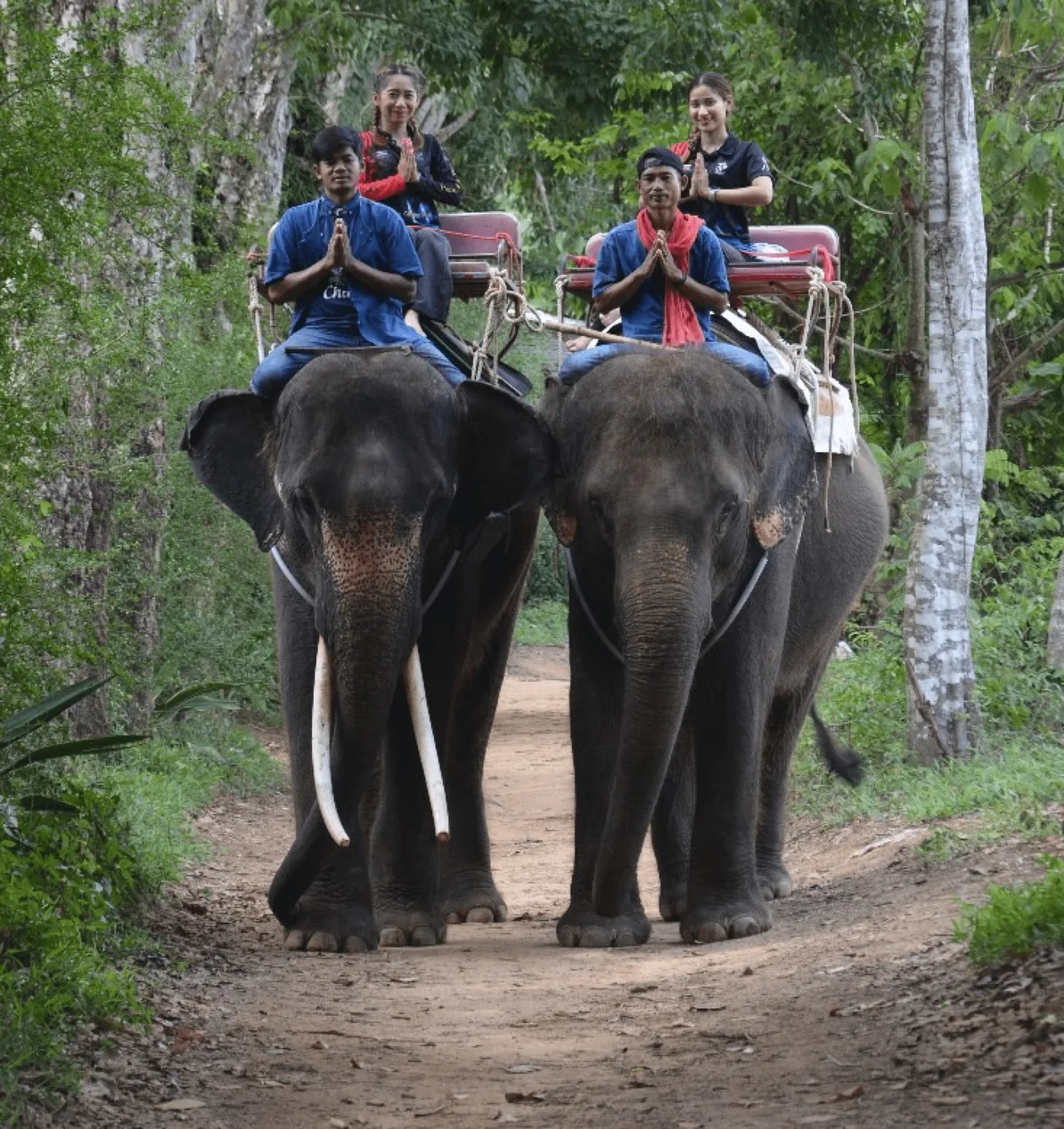 Bangkok & Phuket