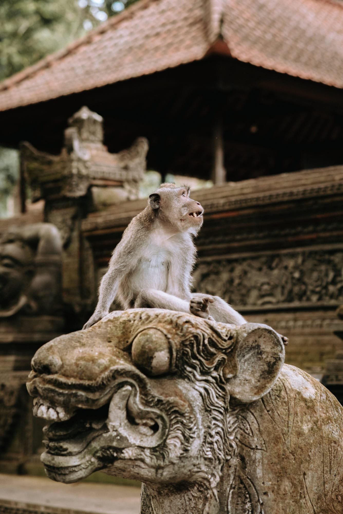 Kuala Lumpur & Bali