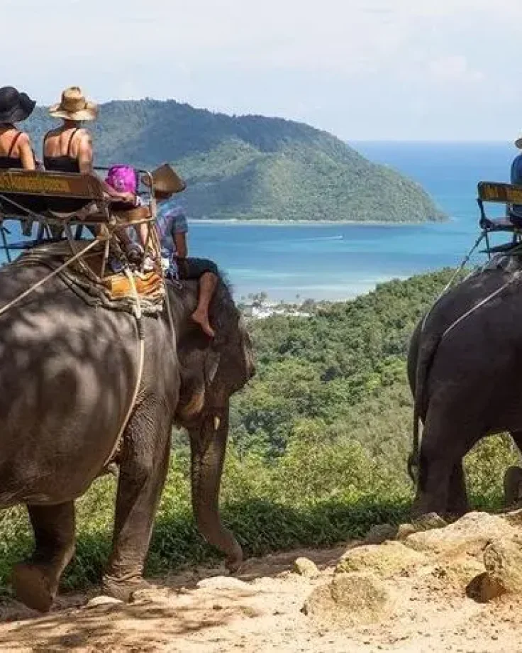 d8d46450e8a95efb69267bd32bf730a5